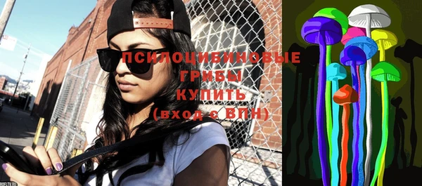 молекула духа Медногорск