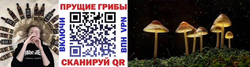 Псилоцибиновые грибы ЛСД  Купить закладки  Аксай